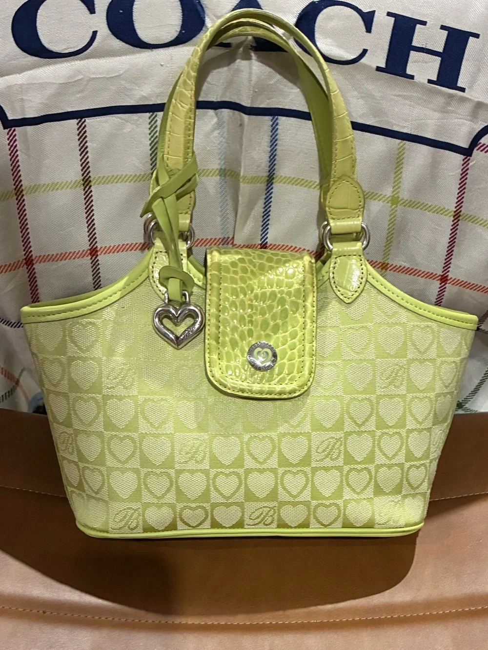 Brighton coach shoulder